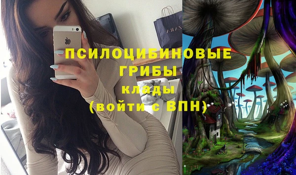 spice Балабаново